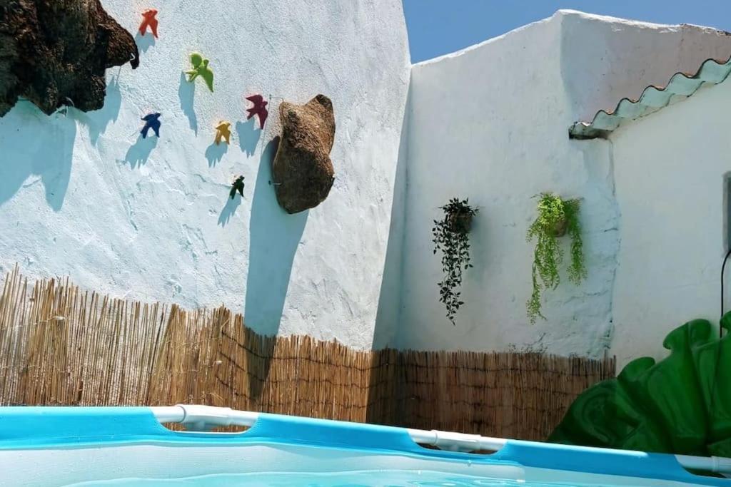 A Casa Do Barqueiro- Alentejo Villa Pedrogao  Dış mekan fotoğraf