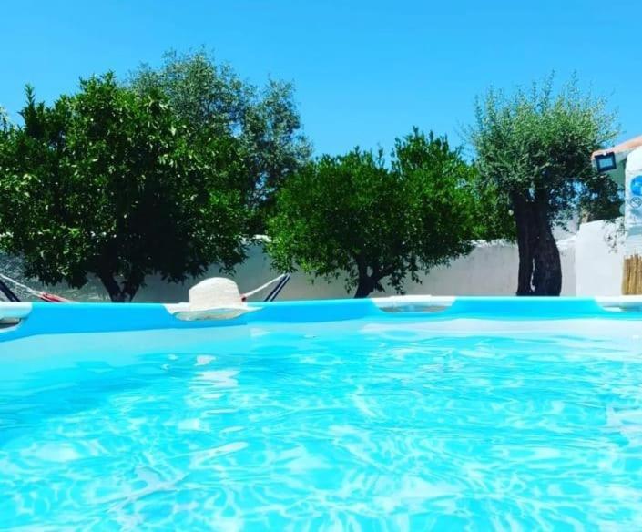 A Casa Do Barqueiro- Alentejo Villa Pedrogao  Dış mekan fotoğraf